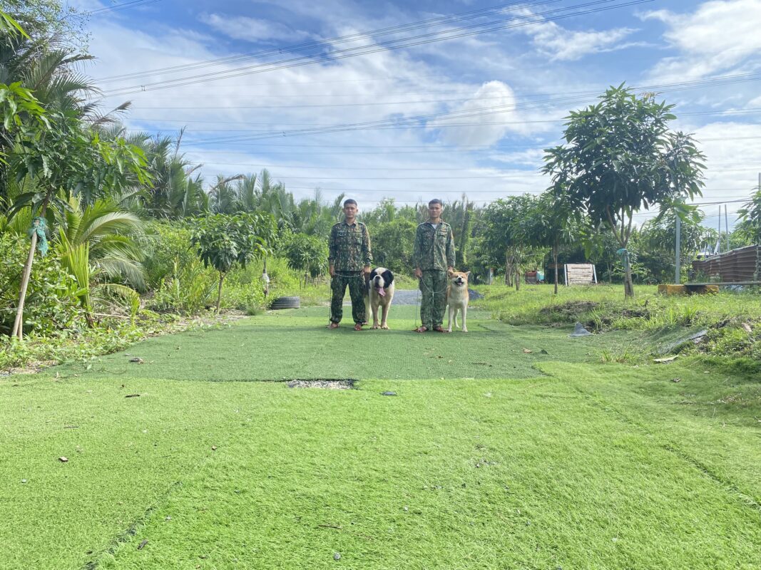 trường huấn luyện chó quận 1