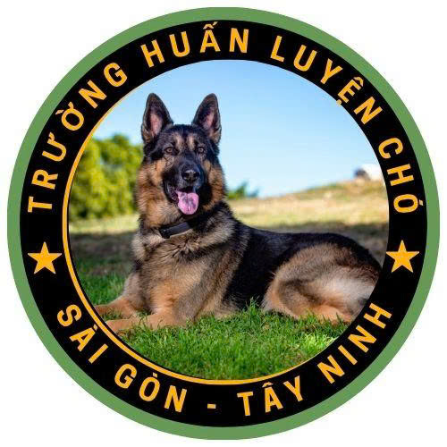 TRƯỜNG HUẤN LUYỆN CHÓ SÀI GÒN TÂY NINH